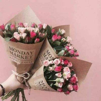 丰禾棋牌手机app下载